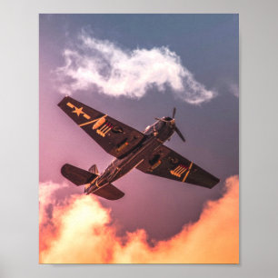 Vintage Airplane Beautiful Sky Poster