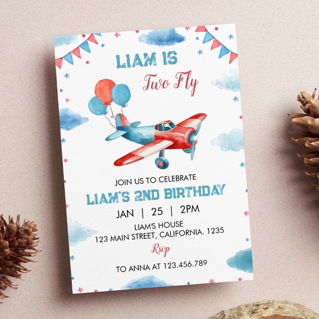 Vintage Airplane Birthday Invitation Time Flies (Creator Uploaded)