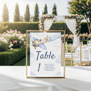 Vintage Airplane Shower Table Numbers Sign