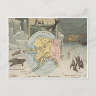 Vintage Alaska Whalers Seals Polar Bears Postcard