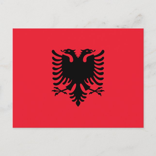 Vintage Albania Travel Tourism Postcard (Front)