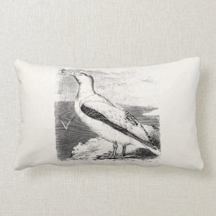 Vintage Albatross Seagull Sea Gull Gulls Seabird Lumbar Pillow