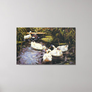 Vintage Alexander Koester Ducks on a Reed Pond Canvas Print