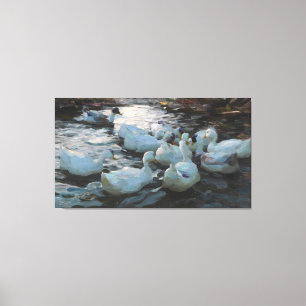 Vintage Alexander Koester Eleven Ducks in the Wate Canvas Print