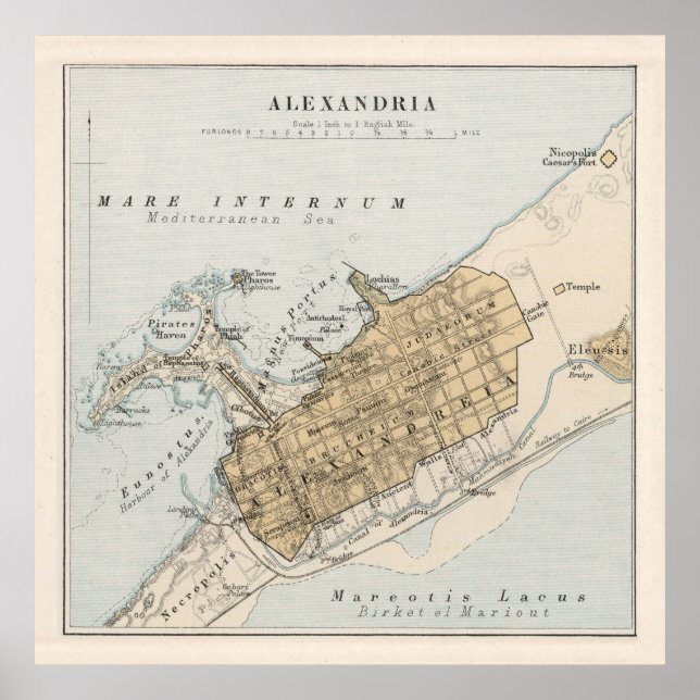 Vintage Alexandria Egypt Map (1874) Poster (Front)