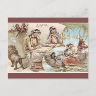 Vintage Algeria Postcard