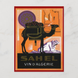 Vintage Algerian Wine, Vin Sahel, Algerie Postcard