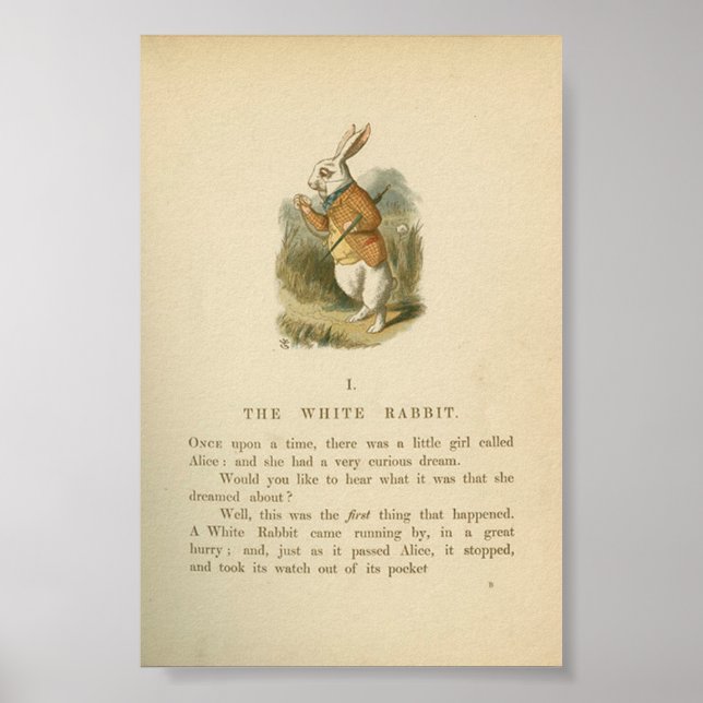 Vintage Alice in Wonderland Illustration Poster (Front)
