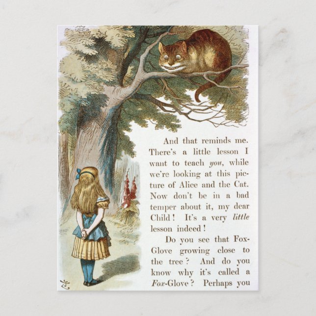 Vintage Alice in Wonderland  Postcard (Front)
