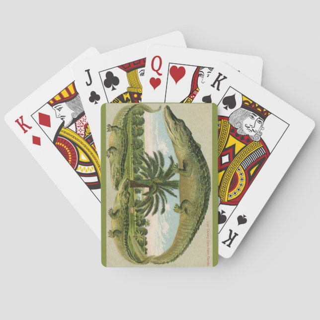 Vintage Alligator Postcard Playing Cards (Back)