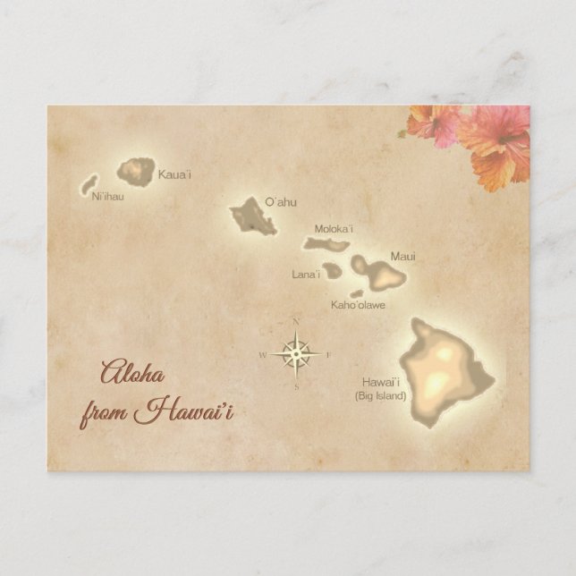 Vintage Aloha from the Hawaiian Islands Postcard (Front)