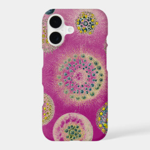 Vintage  Altered Haeckel