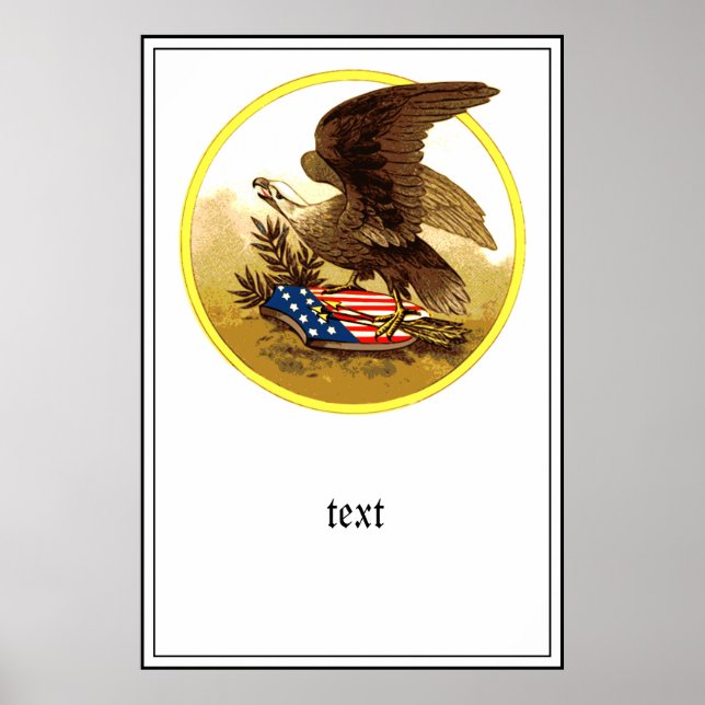Vintage American Bald Eagle Poster (Front)