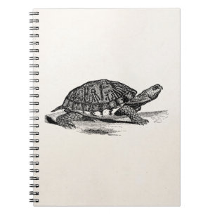 Vintage American Box Tortoise - Turtle Template Notebook