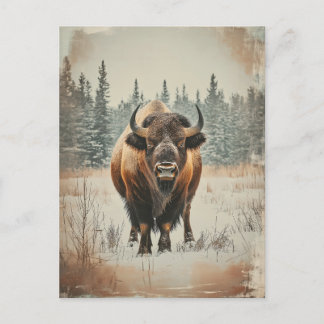 Vintage American buffet Bison in winter Postcard