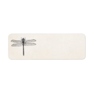 Vintage American Dragonfly Dragon Fly Template