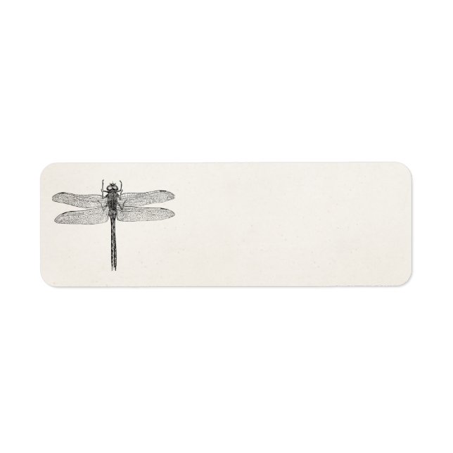 Vintage American Dragonfly Dragon Fly Template (Front)