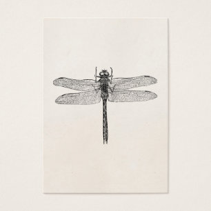 Vintage American Dragonfly Dragon Fly Template