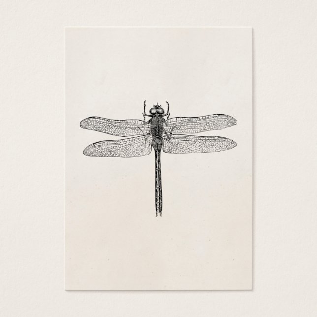 Vintage American Dragonfly Dragon Fly Template (Front)