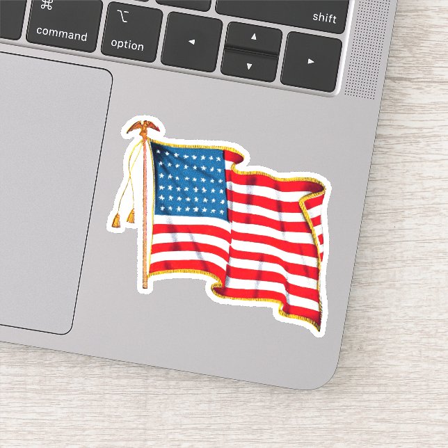 Vintage American Flag (Detail)