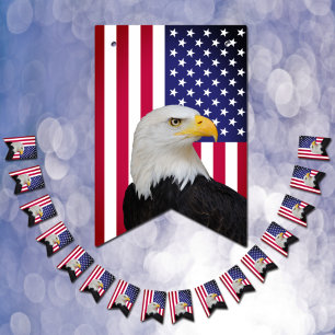 Vintage American Flag, Eagle bunting Patriot Party Flags