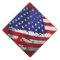 Vintage American Flag Thunder_Cove
