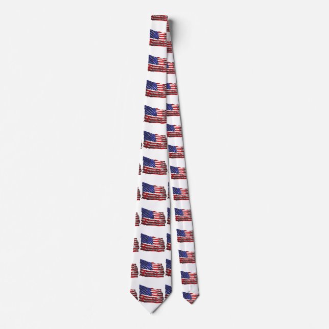 Vintage American Flag Thunder_Cove Tie (Front)