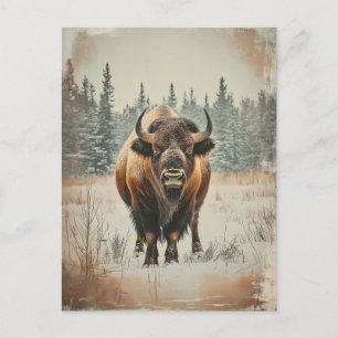 Vintage Amerikanischer Büffel Bison im Winter Postcard