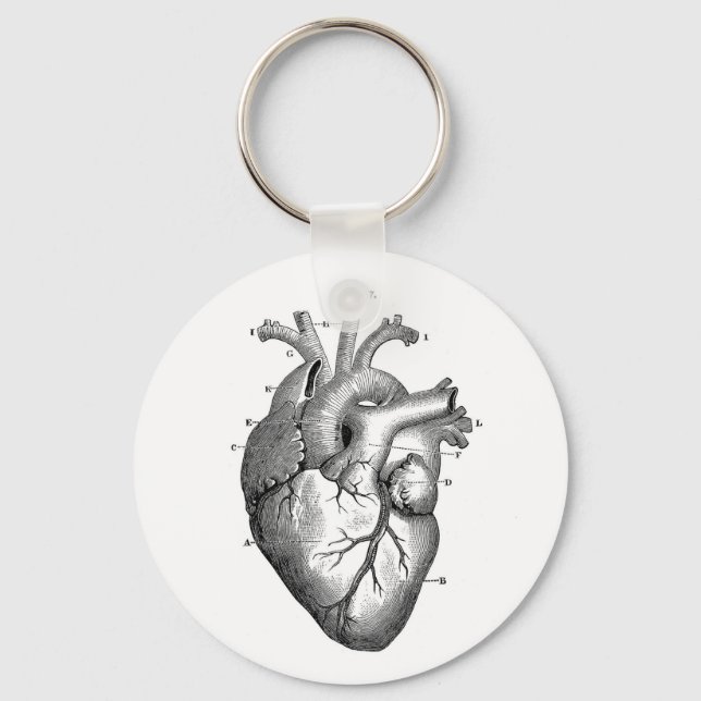 Vintage Anatomical Drawing Human Heart Keychain (Front)