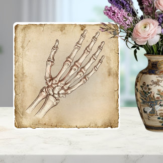Vintage Anatomical Hand Bones Ink Drawing Sepia Tile