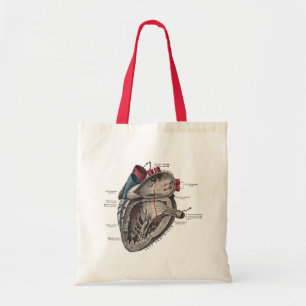 Vintage Anatomical Heart Diagram Tote Bag