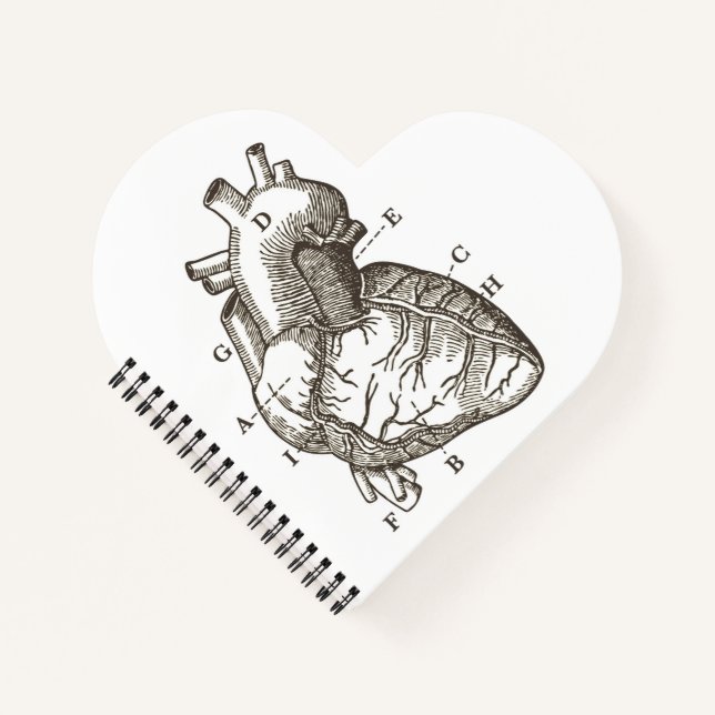 Vintage Anatomical Heart Drawing Heart Shaped Notebook (Front)