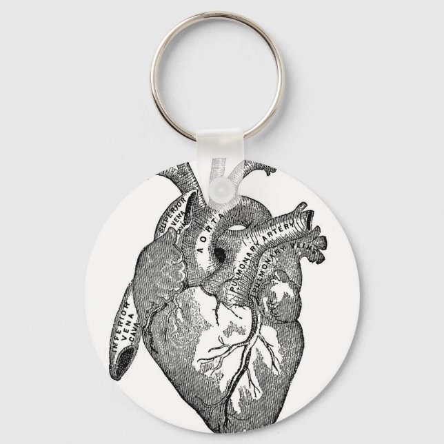 Vintage Anatomical Heart Keychain (Front)