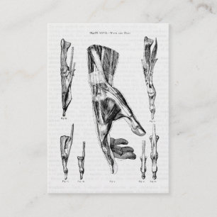 Vintage Anatomy Art Hand and Wrist Muscles Business Card
