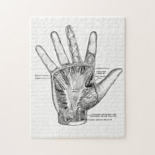 Vintage Anatomy Art The Palm of the Hand Jigsaw Puzzle