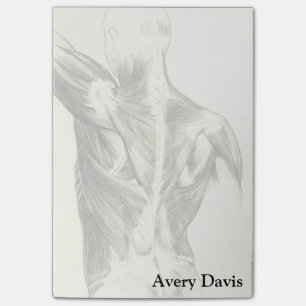Vintage Anatomy   Back Muscles (circa 1852) Post-it Notes