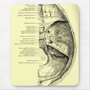 Vintage Anatomy Base of the skull Inner surface Mouse Pad