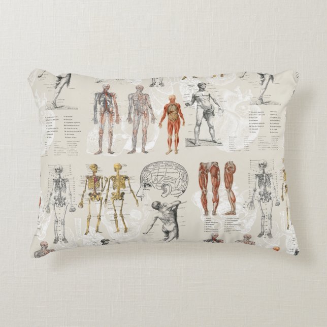Vintage Anatomy Biology Illustrations Accent Pillow (Front)