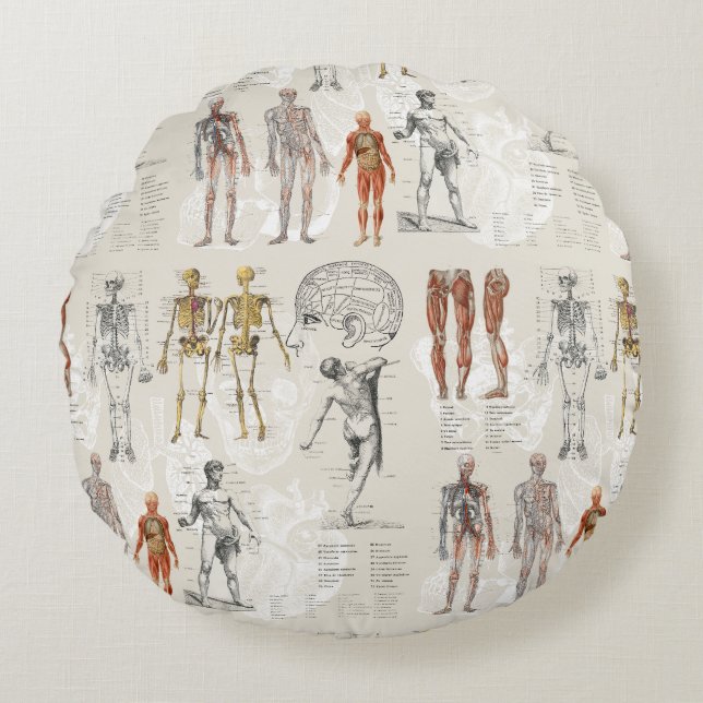 Vintage Anatomy Biology Illustrations Round Pillow (Front)