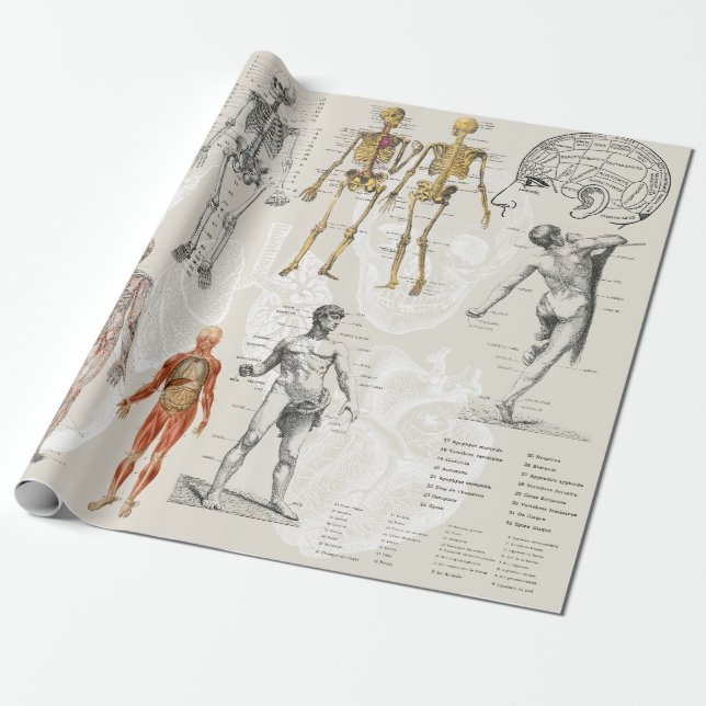 Vintage Anatomy Biology Illustrations Wrapping Paper (Unrolled)