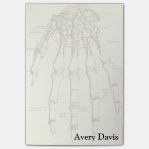 Vintage Anatomy Bones of the Hand Post-it Notes