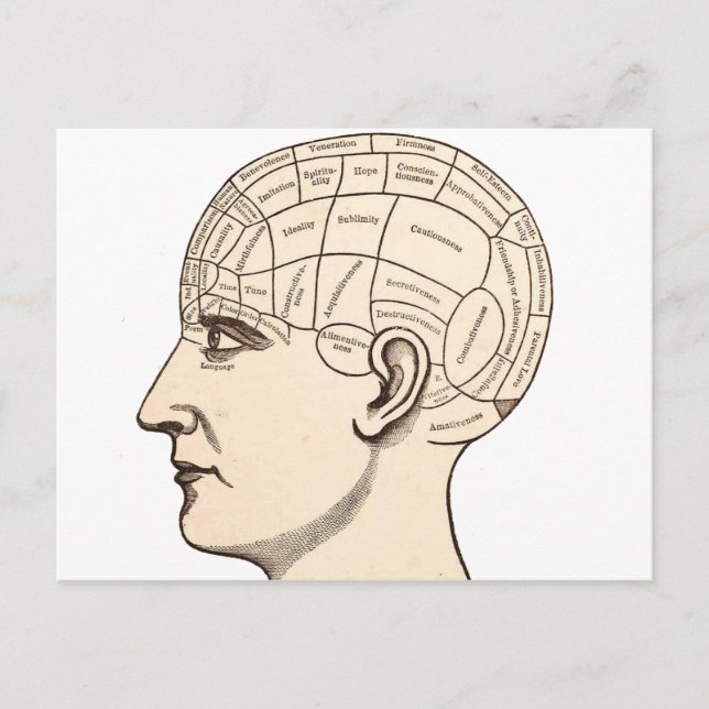 Vintage Anatomy Brain Map Image Postcard (Front)