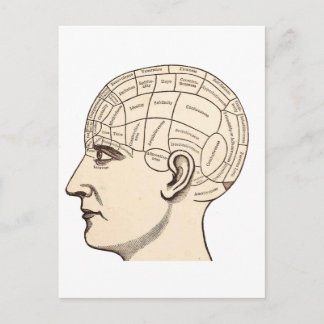 Vintage Anatomy Brain Map Image Postcard