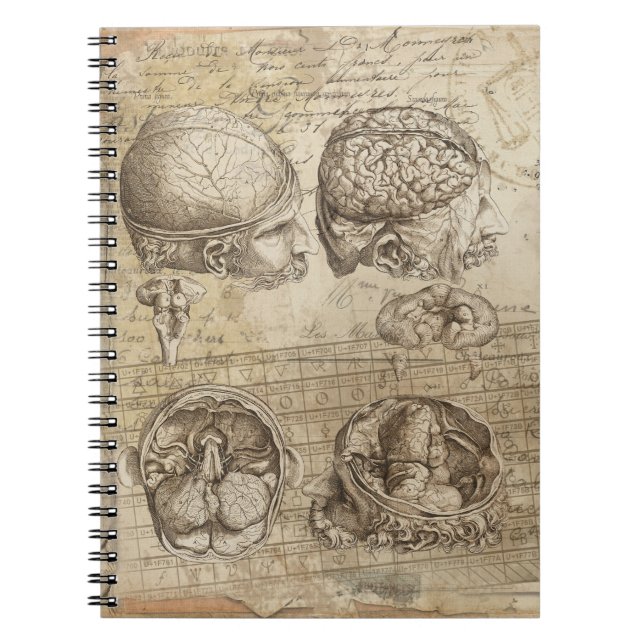 Vintage Anatomy Distressed Collage Art Notebook (Front)