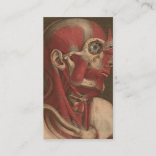 Vintage Anatomy   Head, Neck, and Shoulders Business Card