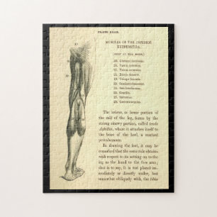 Vintage Anatomy Leg Muscles Jigsaw Puzzle