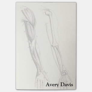 Vintage Anatomy Muscles and Bones of the Arm Post-it Notes