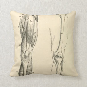 Vintage Anatomy     Muscles and Bones of the Leg Throw Pillow