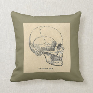 Vintage Anatomy Skull Throw pillow