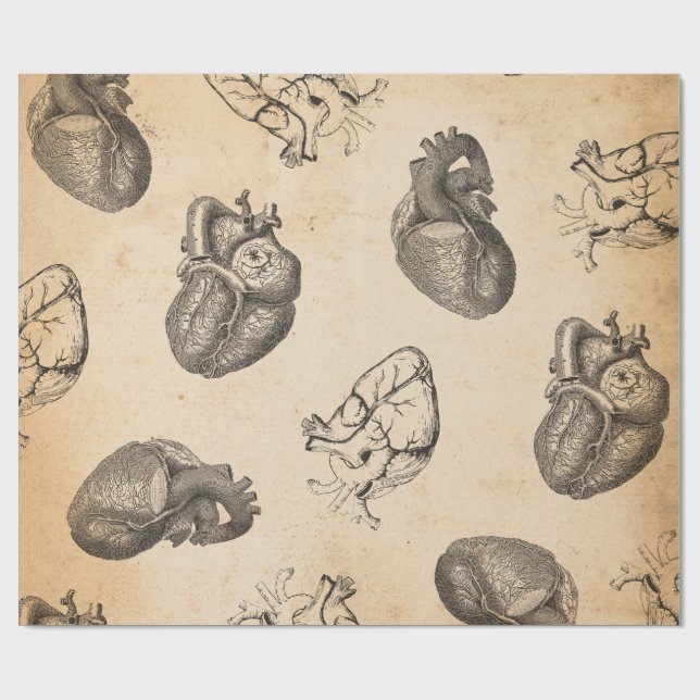 Vintage Anatomy  Wrapping Paper (Flat)